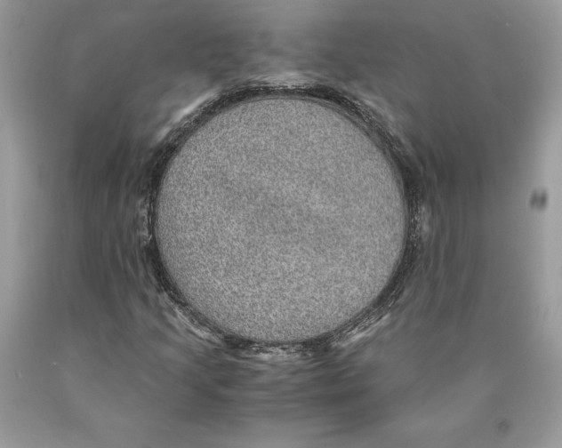 X0000089971205200707271914