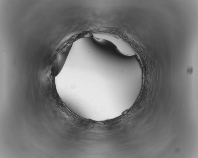 X0000089971206200707271914