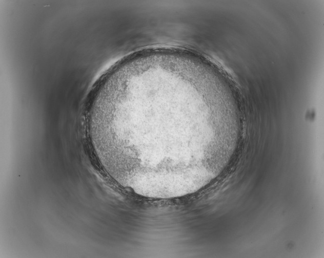 X0000089971208200707271914