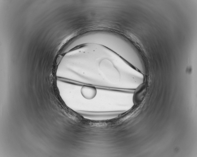 X0000089971210200707271914