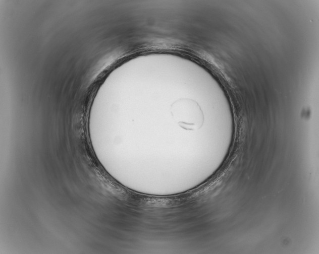 X0000089971211200707271914