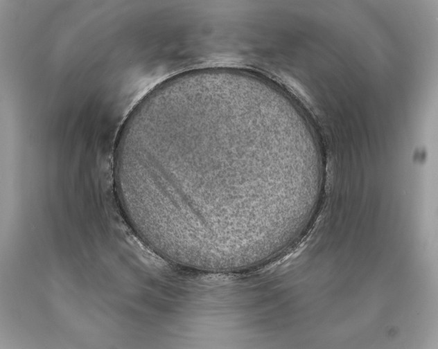 X0000089971212200707271914