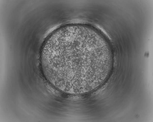 X0000089971213200707271914