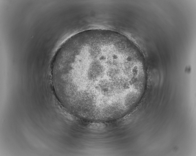 X0000089971215200707271914