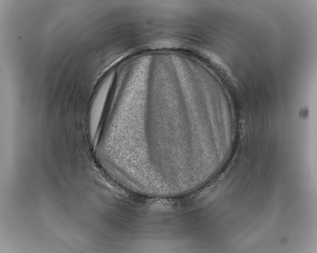 X0000089971217200707271914