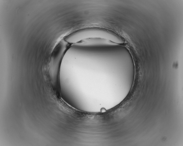 X0000089971218200707271914