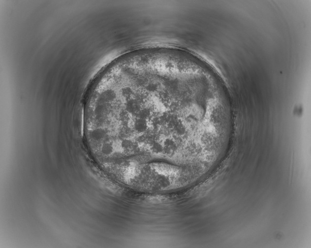 X0000089971219200707271914