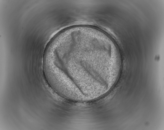 X0000089971220200707271914