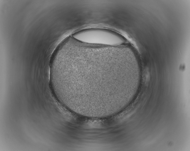 X0000089971221200707271914