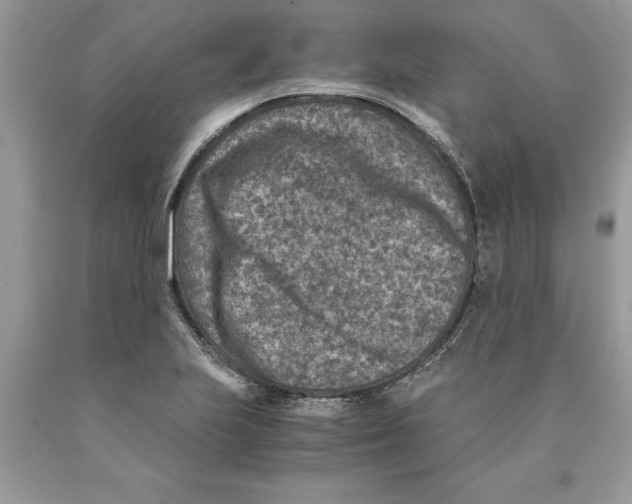 X0000089971223200707271914