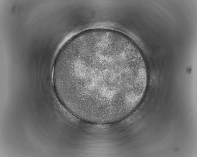 X0000089971224200707271914