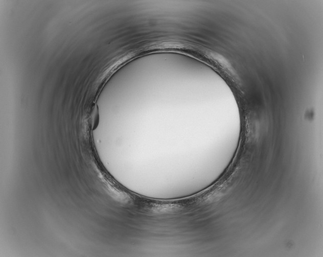 X0000089971225200707271914