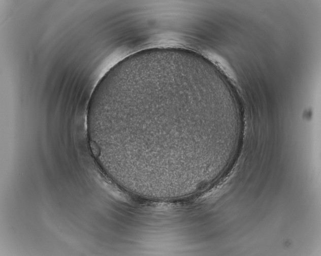 X0000089971226200707271915