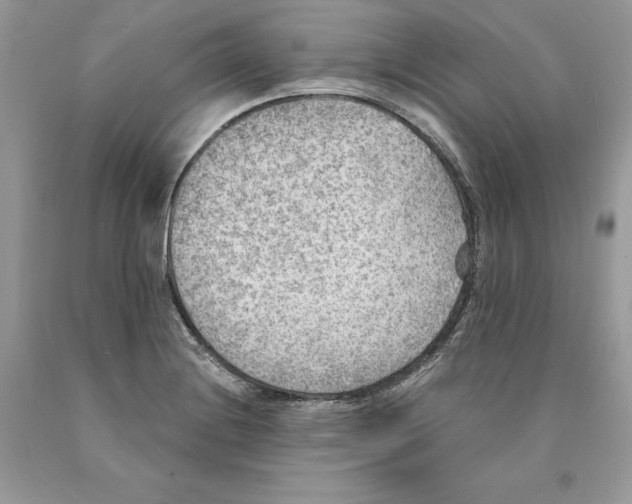 X0000089971228200707271915