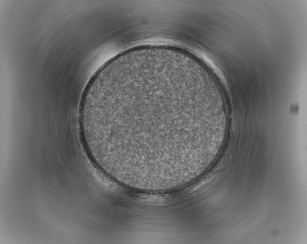 X0000089971229200707271915