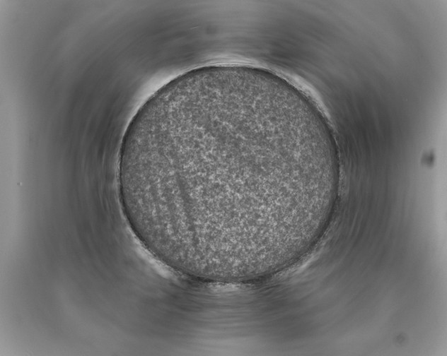 X0000089971231200707271915