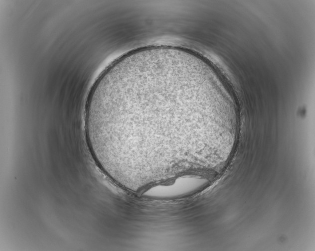 X0000089971232200707271915