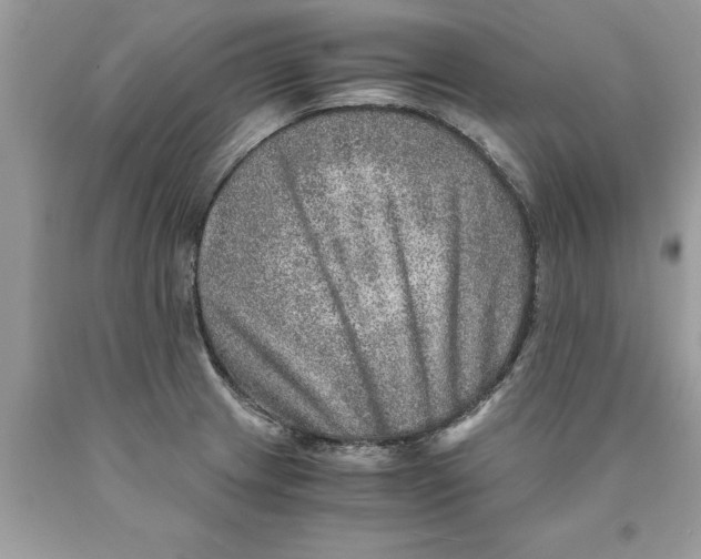 X0000089971233200707271915