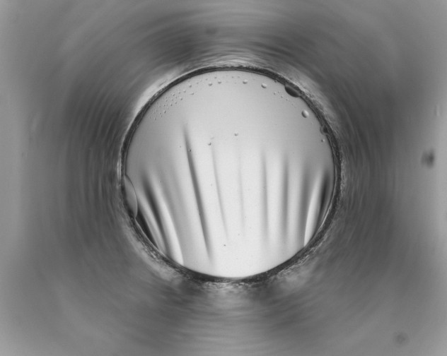 X0000089971234200707271915