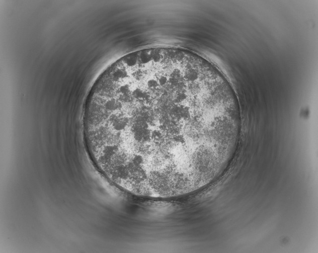 X0000089971235200707271915