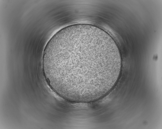 X0000089971236200707271915