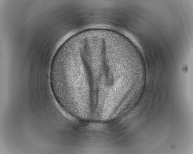 X0000089971237200707271915