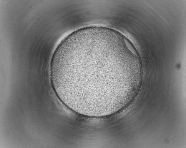 X0000089971240200707271915