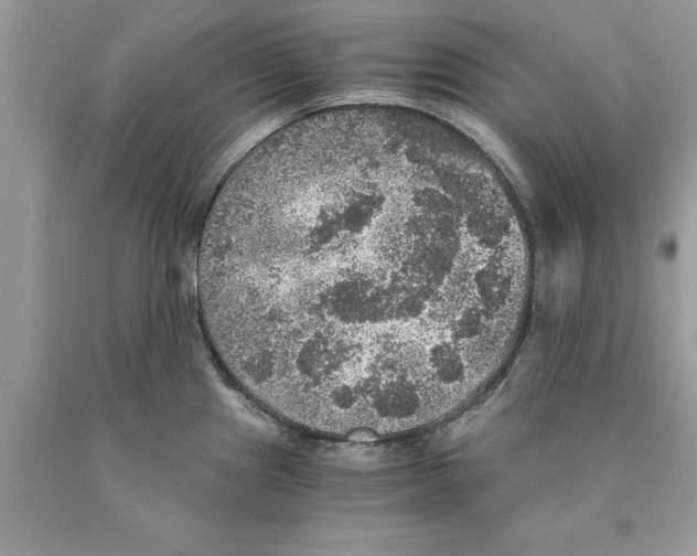 X0000089971241200707271915