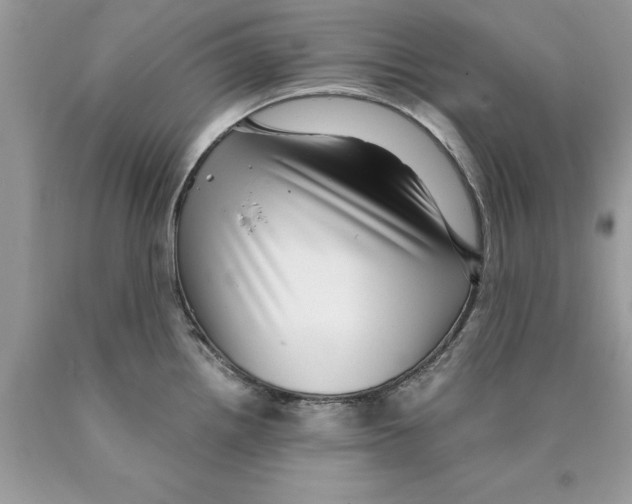 X0000089971242200707271915