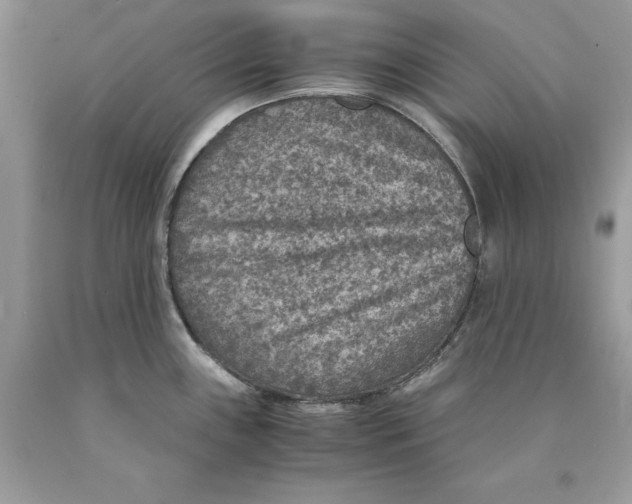 X0000089971243200707271915