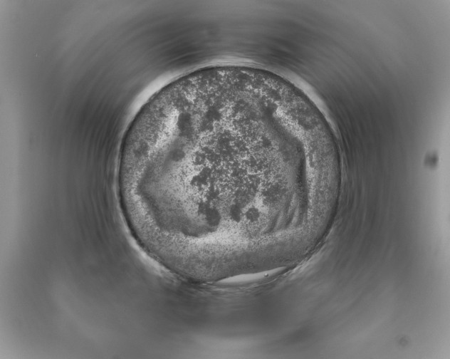 X0000089971245200707271915