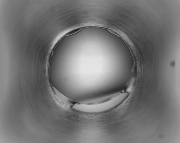 X0000089971246200707271915