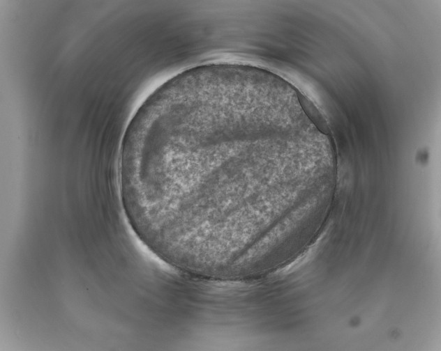 X0000089971247200707271915