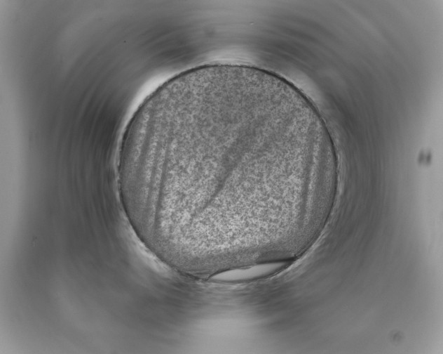 X0000089971248200707271915