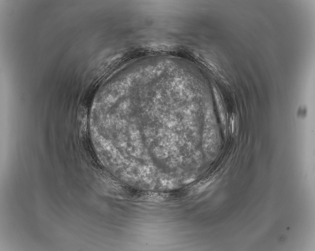 X0000089971251200707271914