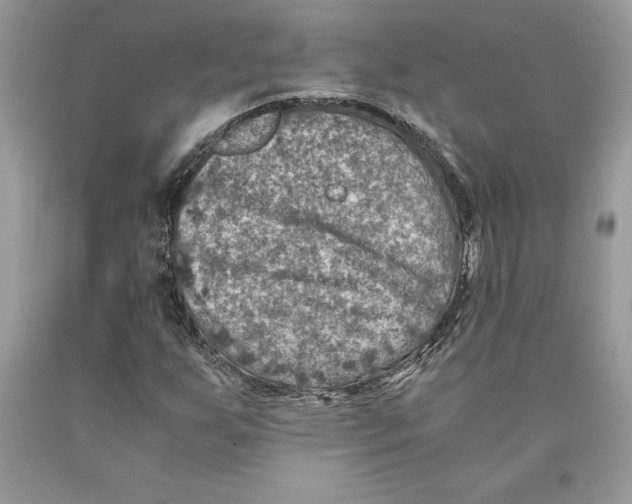 X0000089971255200707271914