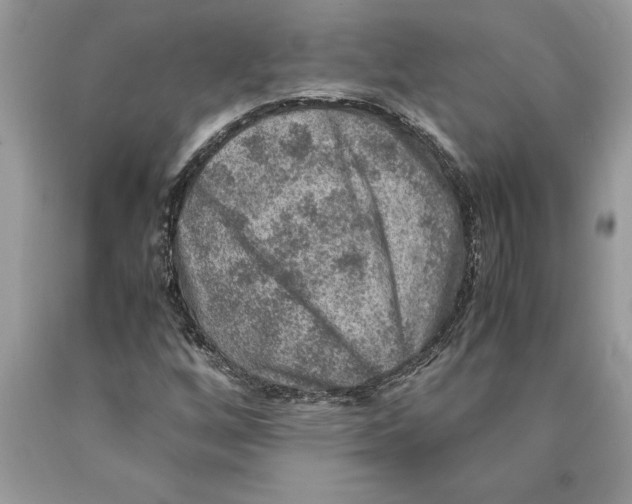 X0000089971256200707271914