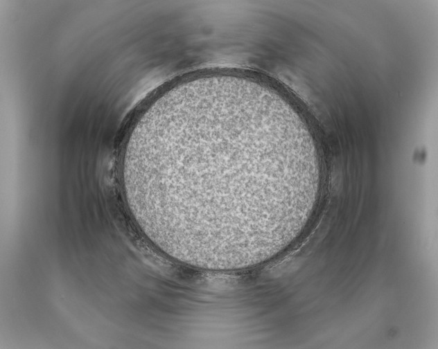 X0000089971258200707271914