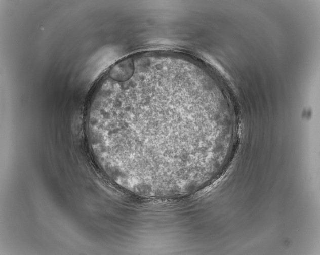 X0000089971259200707271914