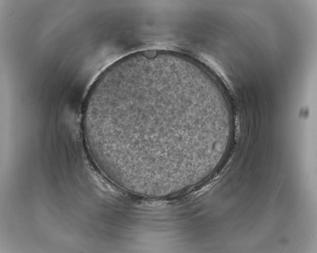 X0000089971260200707271914