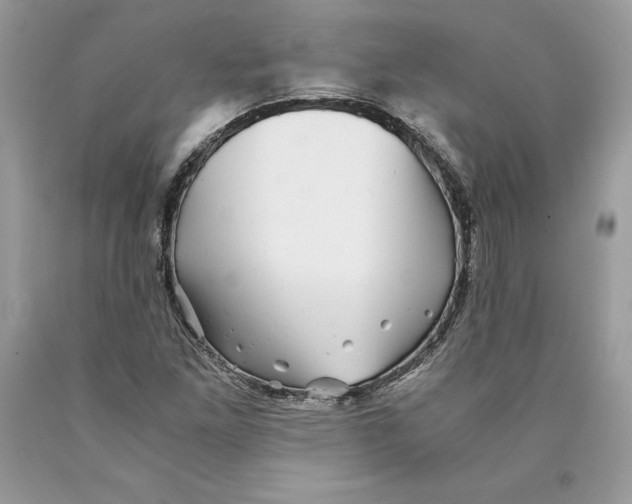 X0000089971261200707271914