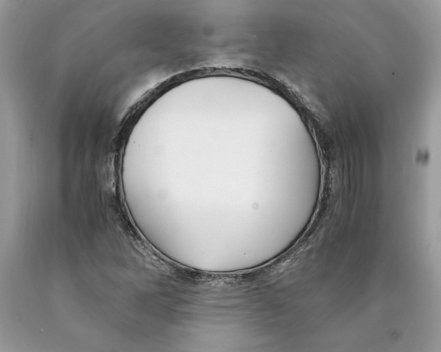 X0000089971262200707271914