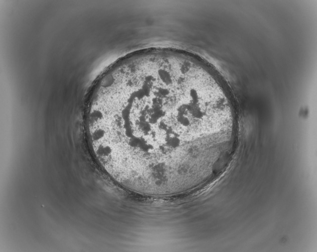 X0000089971263200707271914