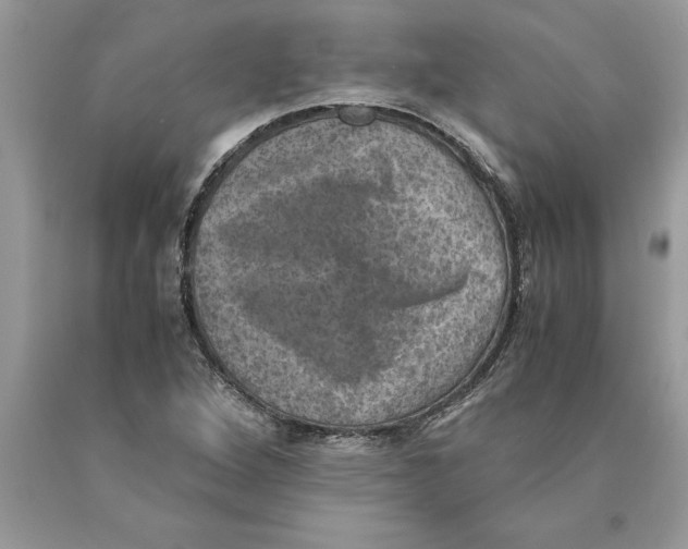 X0000089971264200707271914