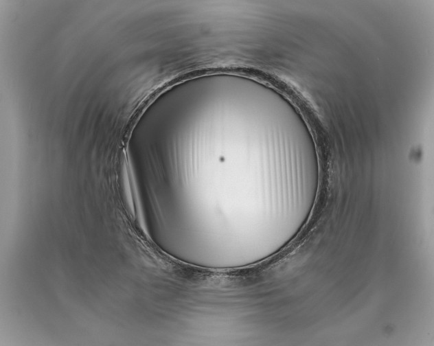 X0000089971265200707271914