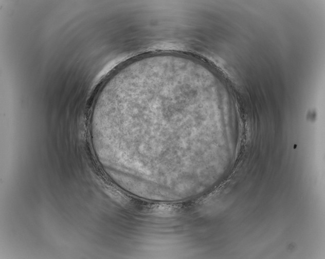 X0000089971266200707271914