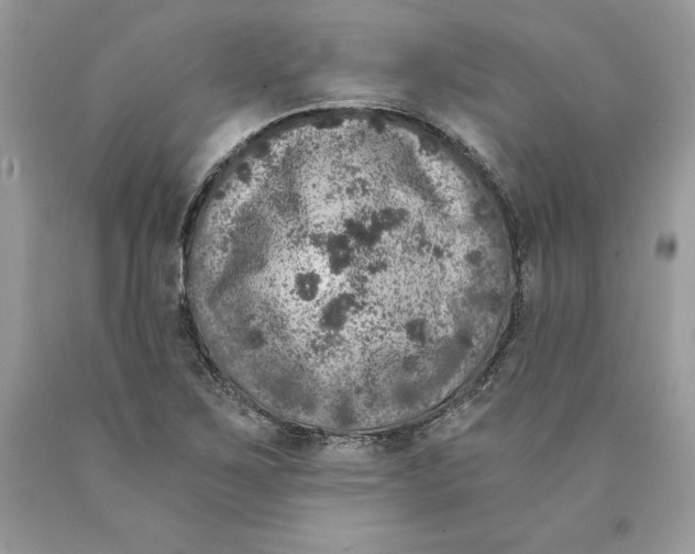 X0000089971267200707271914