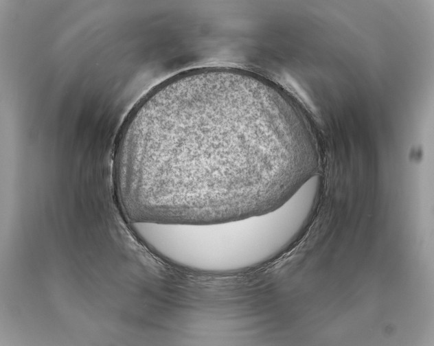 X0000089971268200707271914