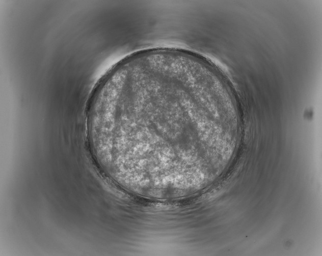 X0000089971271200707271914