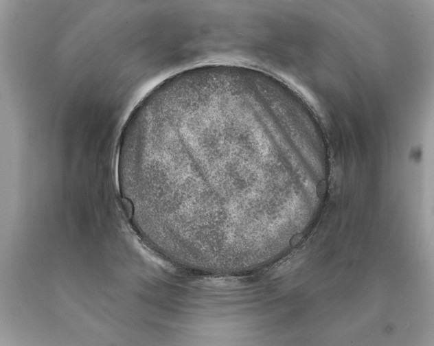 X0000089971272200707271914